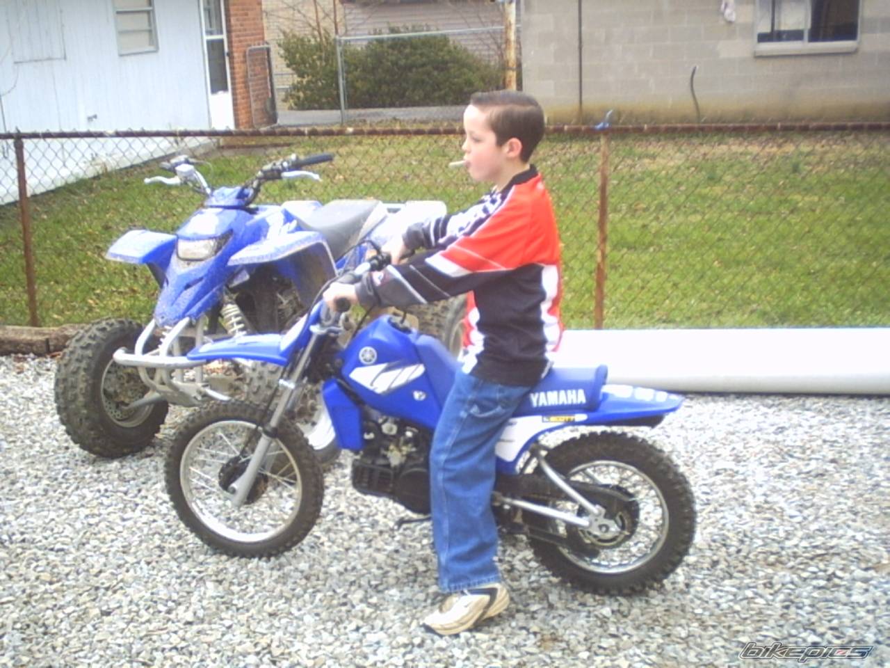 2004 YAMAHA PW 80 | Picture 120278 motorcycle photo