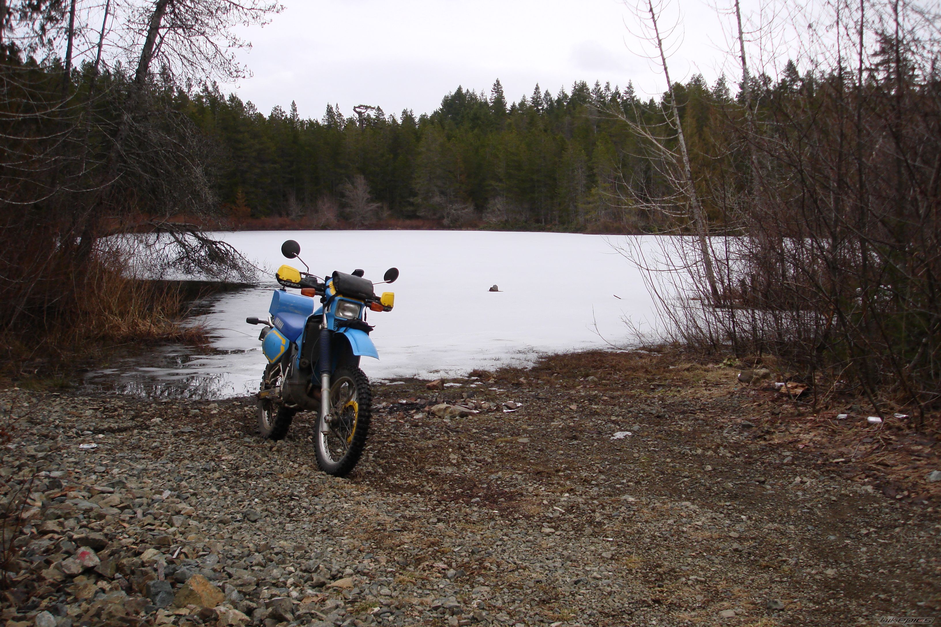 1991 YAMAHA DT 200 | Picture 1202978 motorcycle photo