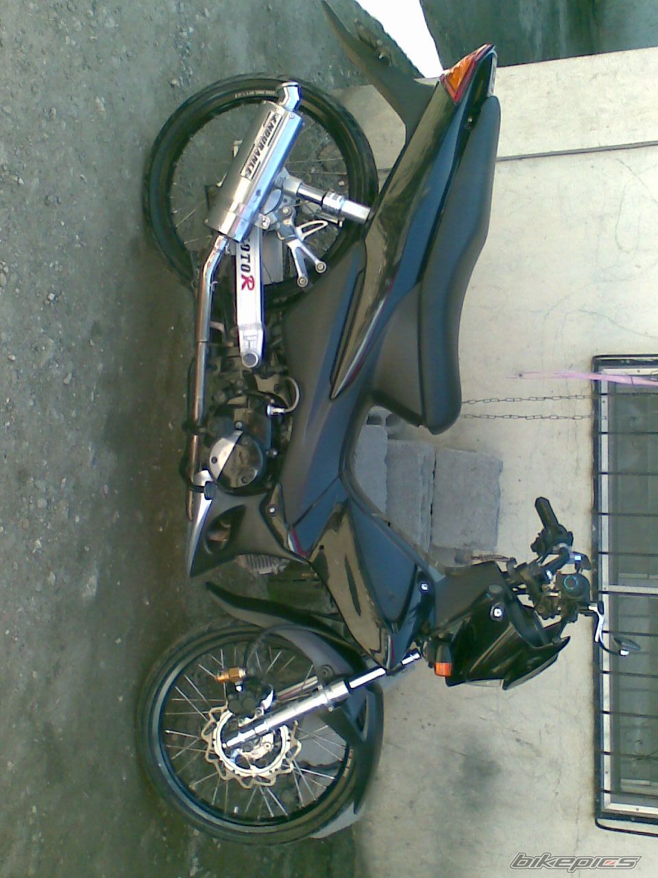 2008 HONDA WAVE ALPHA 100 | Picture 1203131 motorcycle photo