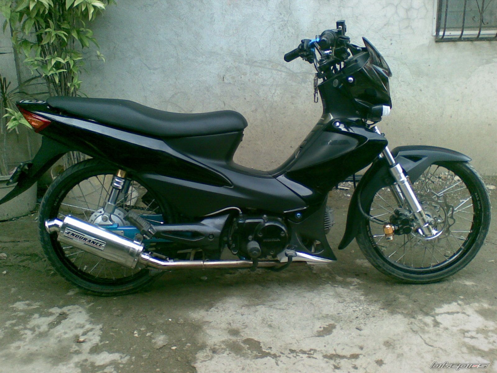 2008 HONDA WAVE ALPHA 100 | Picture 1203146 motorcycle photo