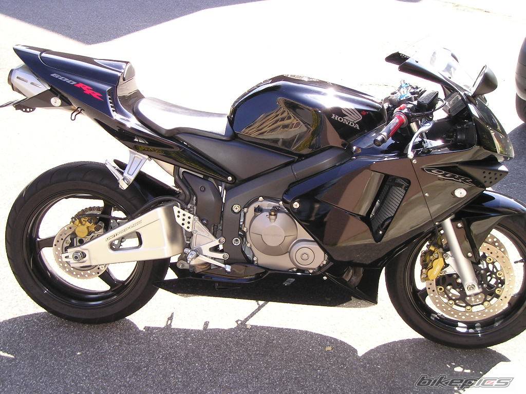 2003 HONDA CBR 600 | Picture 120321 motorcycle photo