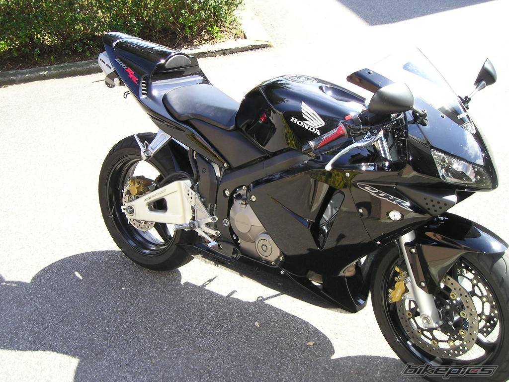 2003 HONDA CBR 600 | Picture 120336 motorcycle photo