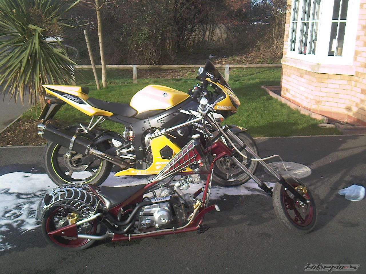 2004 YAMAHA YZF R6 | Picture 1203413 motorcycle photo