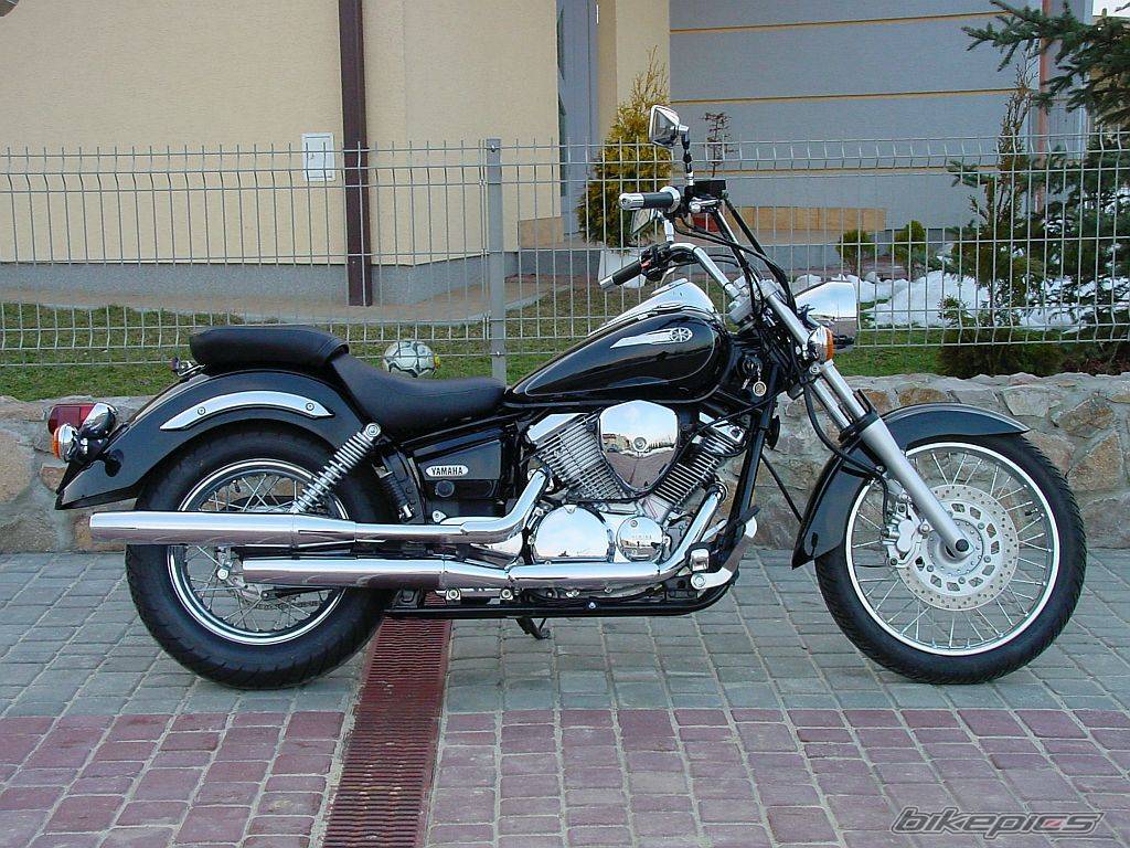 2003 YAMAHA XVS 125 DRAGSTAR | Picture 120354 motorcycle photo