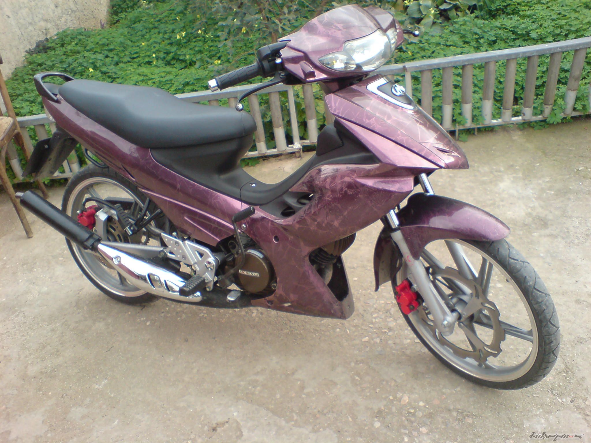 2008 MODENAS DYNAMIC 125 | Picture 1203730 motorcycle photo