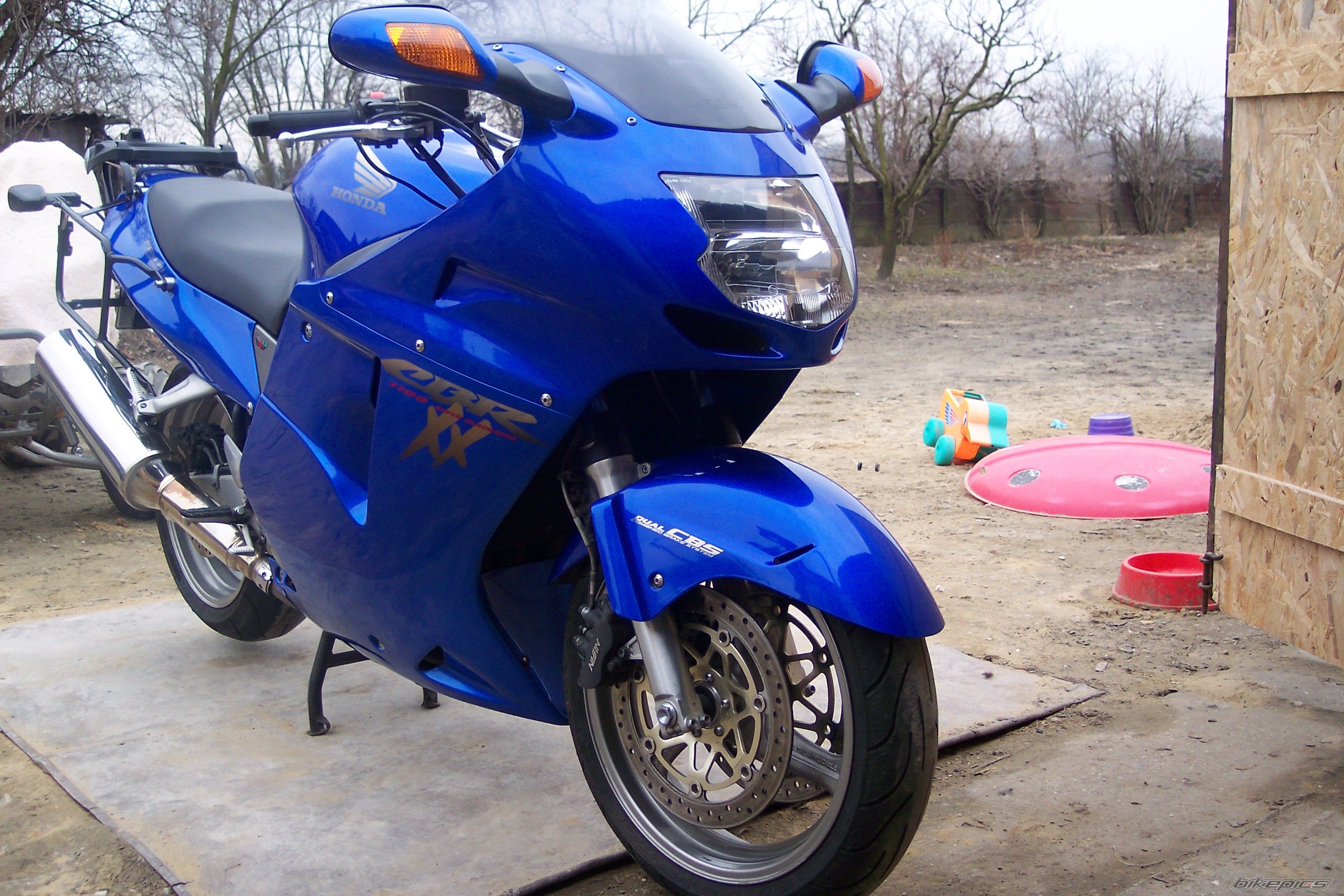 2000 HONDA CBR 1100 BLACKBIRD | Picture 1203736 motorcycle photo