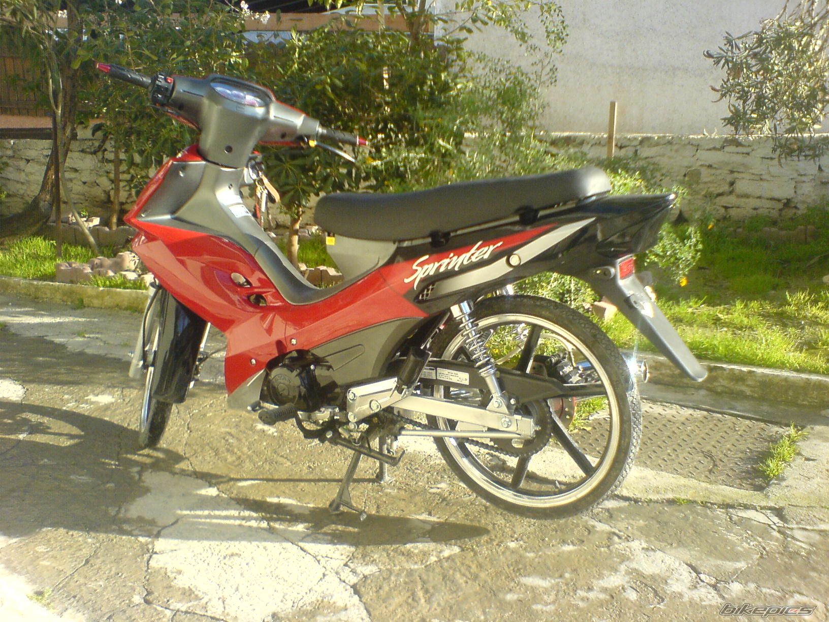 2008 DAYTONA DV 50R | Picture 1204432 motorcycle photo