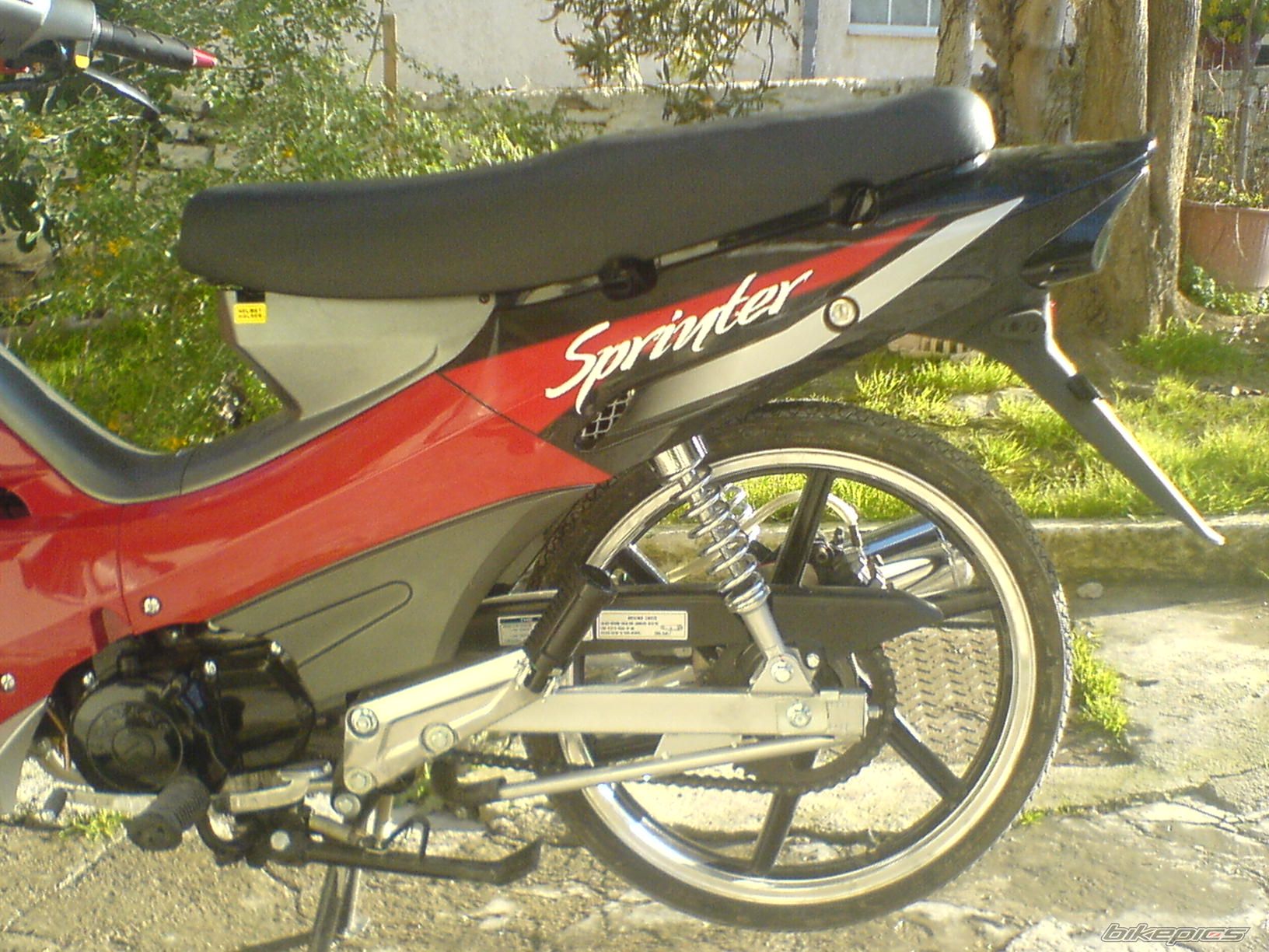 2008 DAYTONA DV 50R | Picture 1204436 motorcycle photo