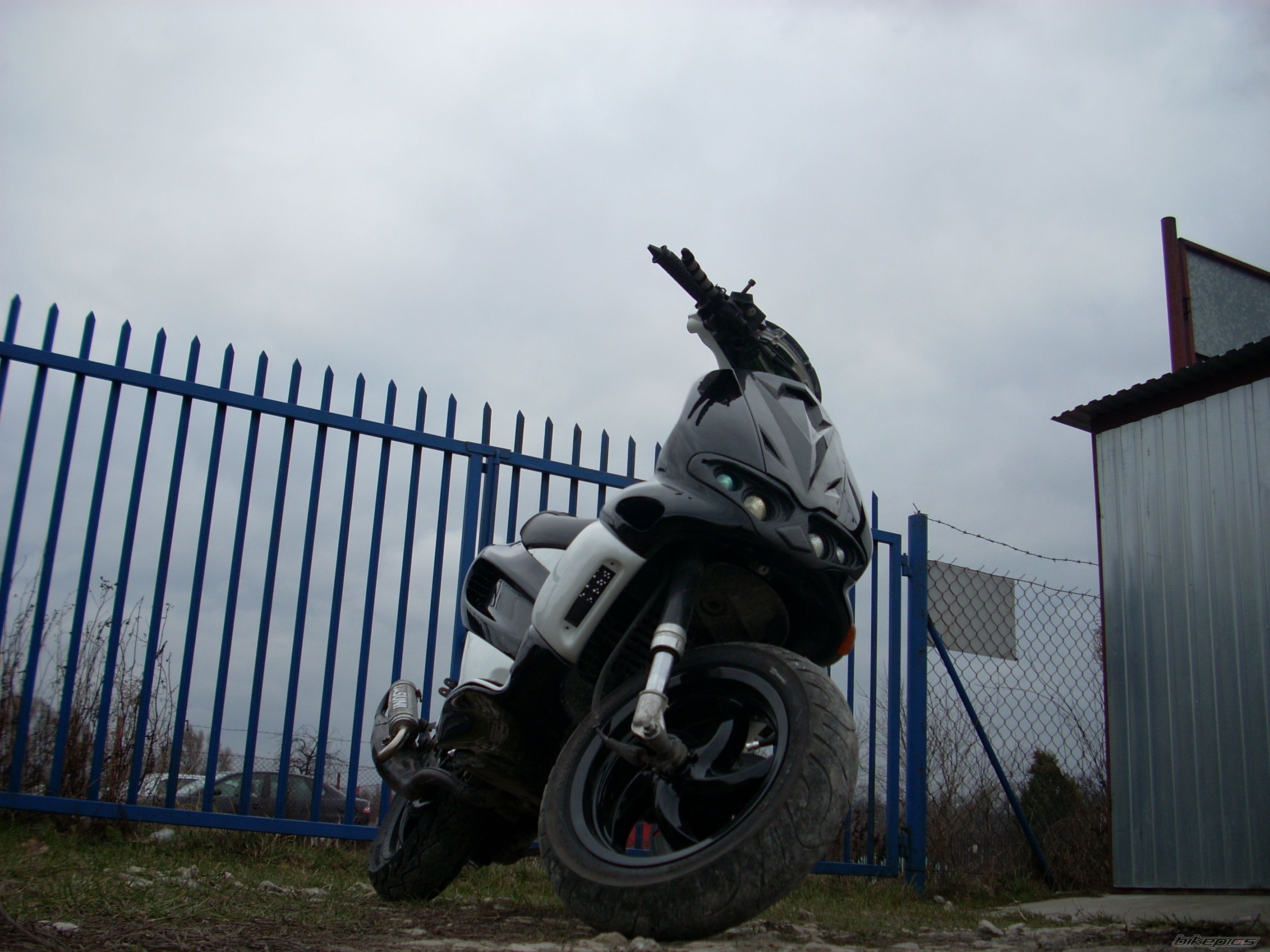 1998 GILERA RUNNER 50 | Picture 1204562 motorcycle photo