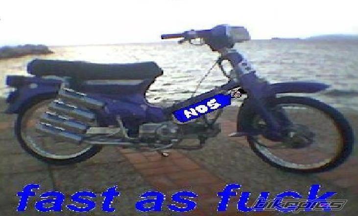 1986 HONDA C 90 | Picture 120464 motorcycle photo