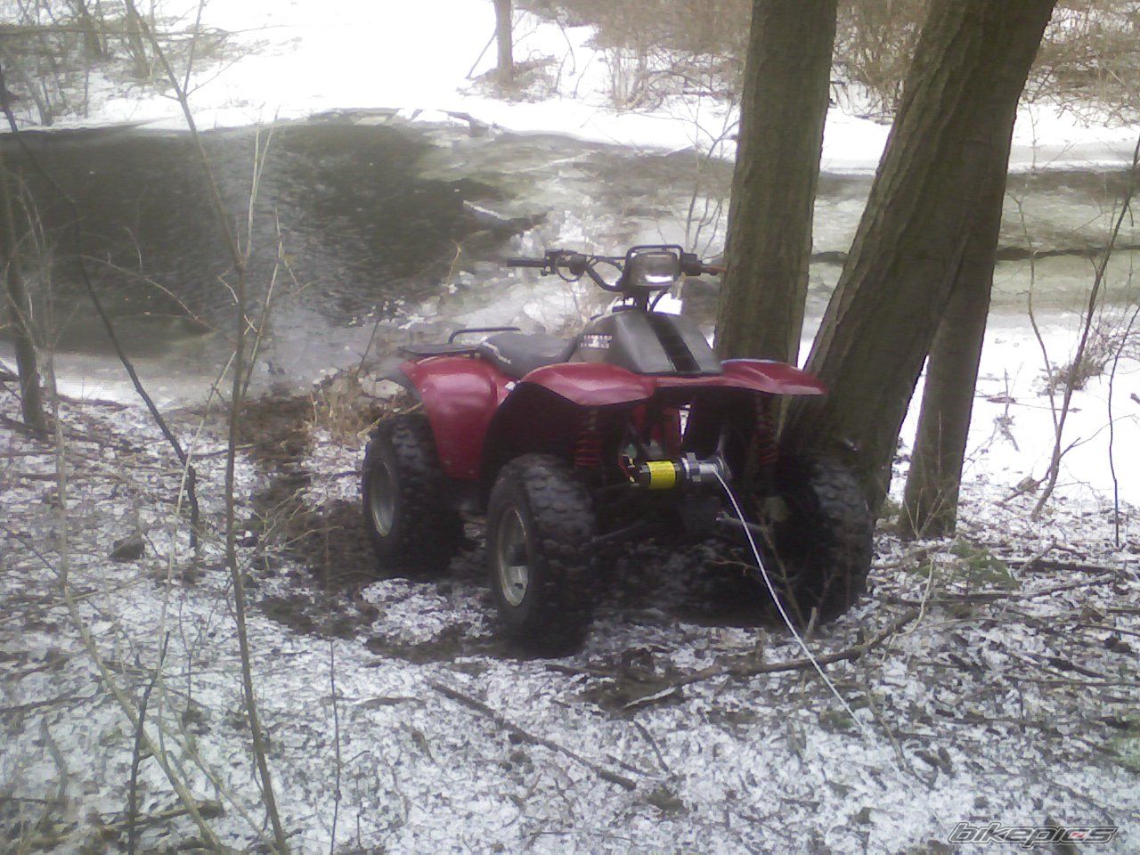 1988 POLARIS TRAIL BOSS 250 | Picture 1204733 motorcycle photo