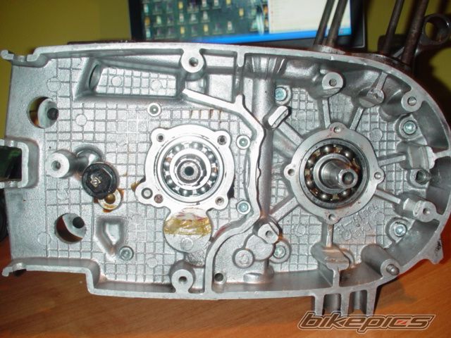 1986 MZ ETZ 150 | Picture 1204746 motorcycle photo