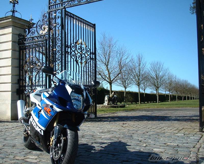 2003 SUZUKI GSX R 1000 | Picture 120481 motorcycle photo