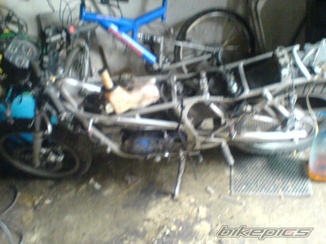 1991 SUZUKI RG 80 | Picture 1204852 motorcycle photo