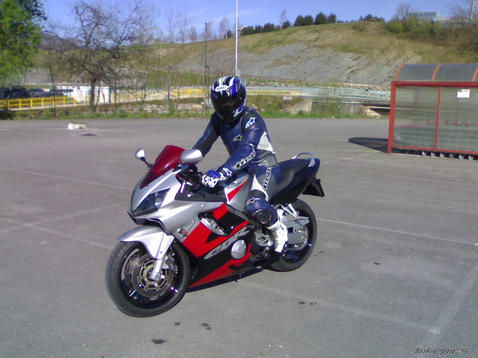 2003 HONDA CBR 600 | Picture 1204922 motorcycle photo