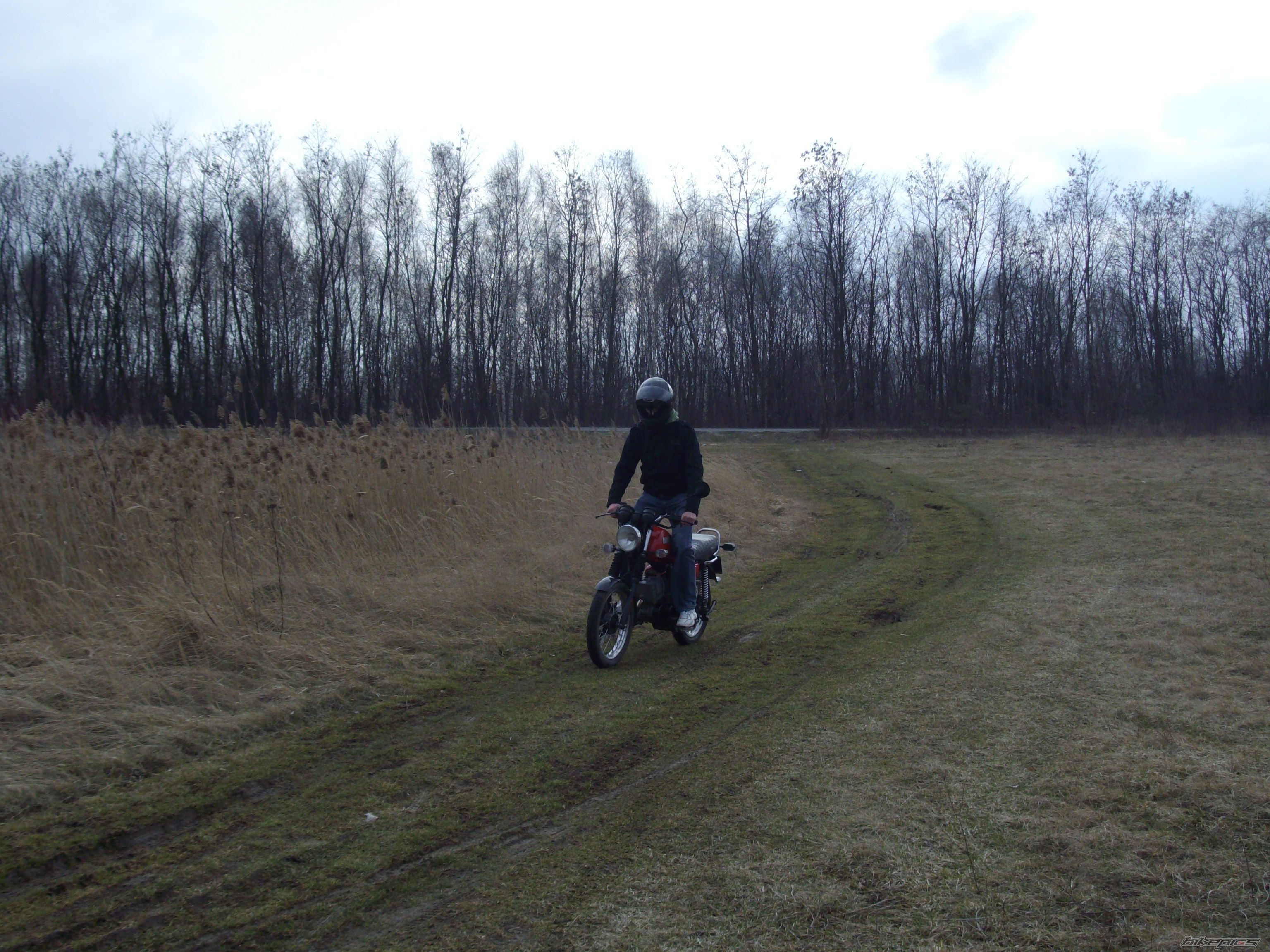 1989 MZ ETZ 150 | Picture 1205605 motorcycle photo