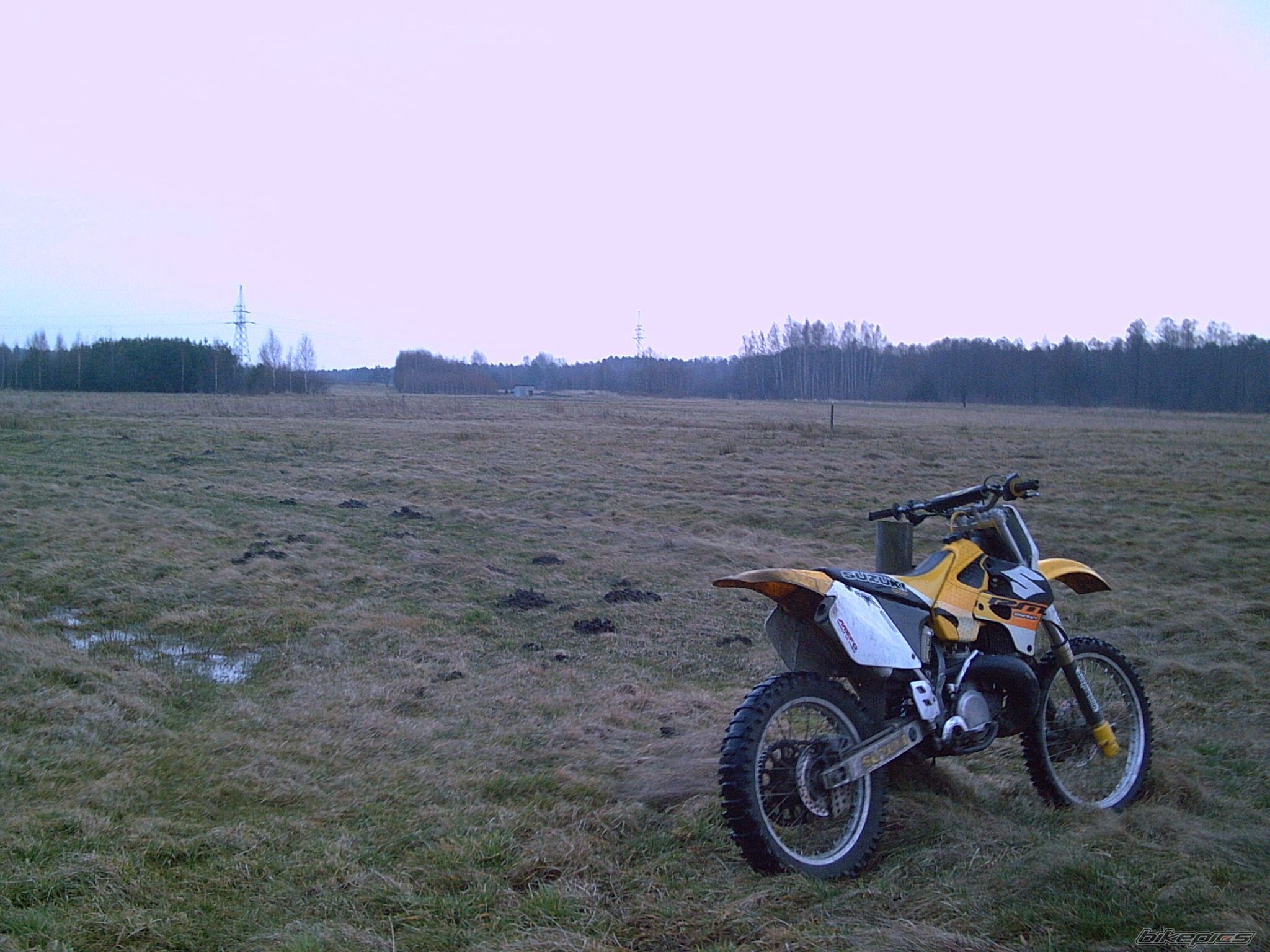 1998 SUZUKI RM 250 | Picture 1205696 motorcycle photo