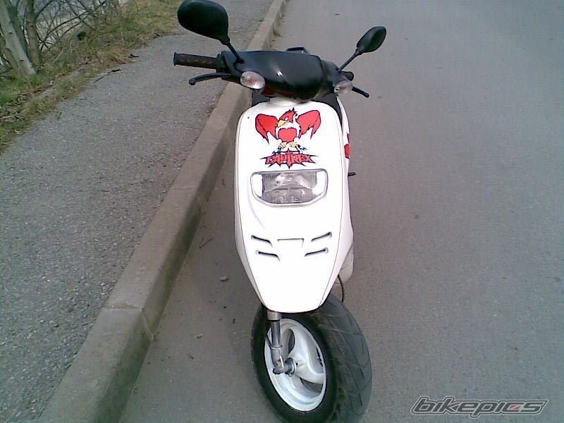 2008 PIAGGIO TYPHOON 50 | Picture 1205812 motorcycle photo