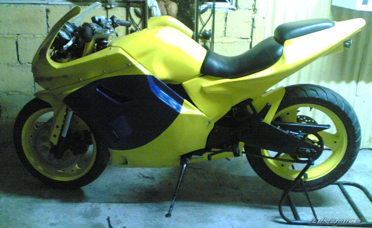 2008 MOTORSTAR EXPLORER Z200 | Picture 1206484 motorcycle photo