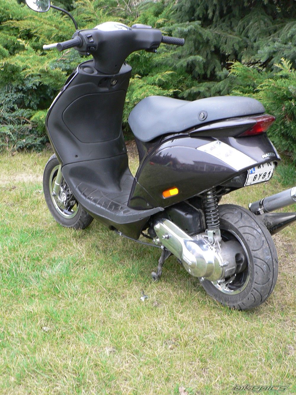 2004 PIAGGIO ZIP | Picture 1206536 motorcycle photo