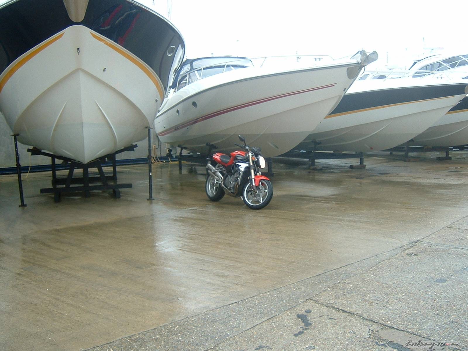 2004 MV AGUSTA BRUTALE S | Picture 120713 motorcycle photo