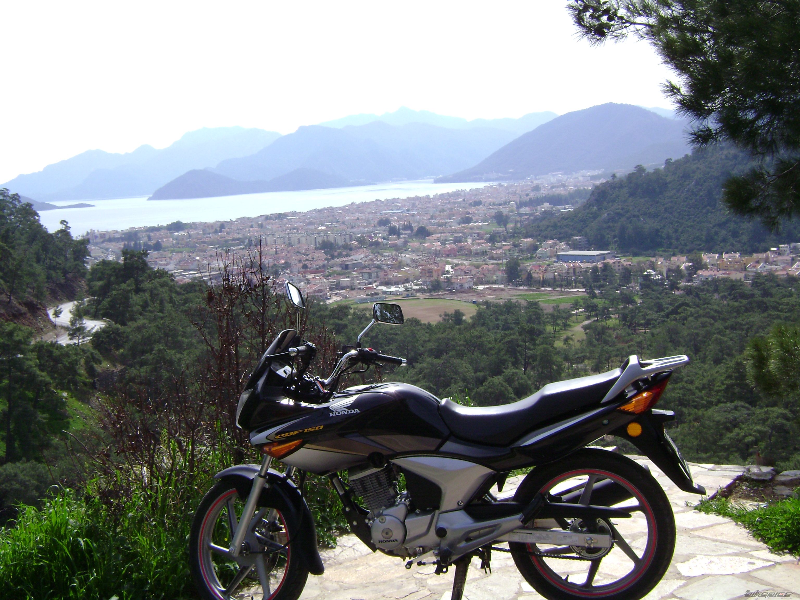 2007 HONDA CBF 150 | Picture 1207447 motorcycle photo