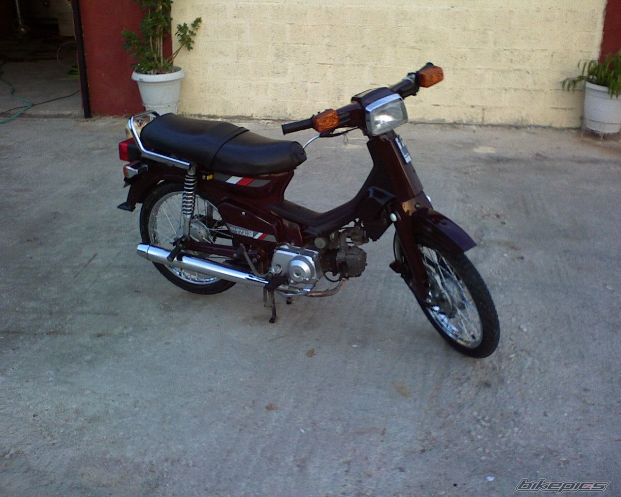 1992 HONDA GLX 50 | Picture 1207624 motorcycle photo