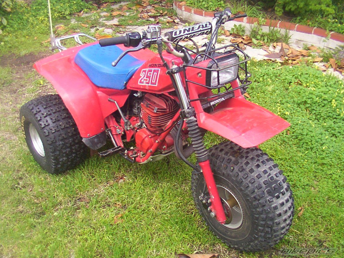 1982 HONDA ATC 250 | Picture 1207796 motorcycle photo