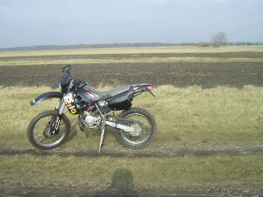 1996 APRILIA RX 50 | Picture 1207821 motorcycle photo