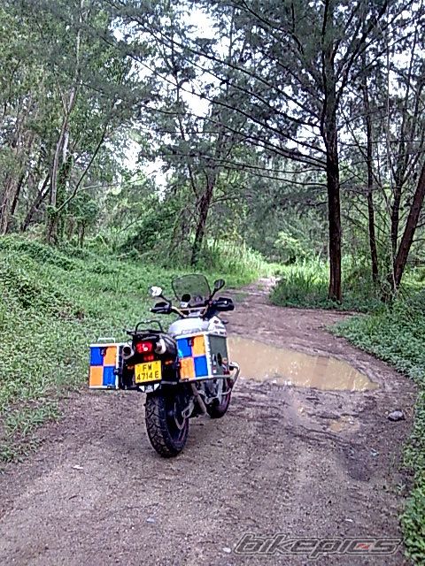 2003 YAMAHA TDM 900 | Picture 1208344 motorcycle photo