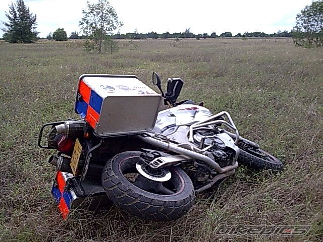 2003 YAMAHA TDM 900 | Picture 1208352 motorcycle photo