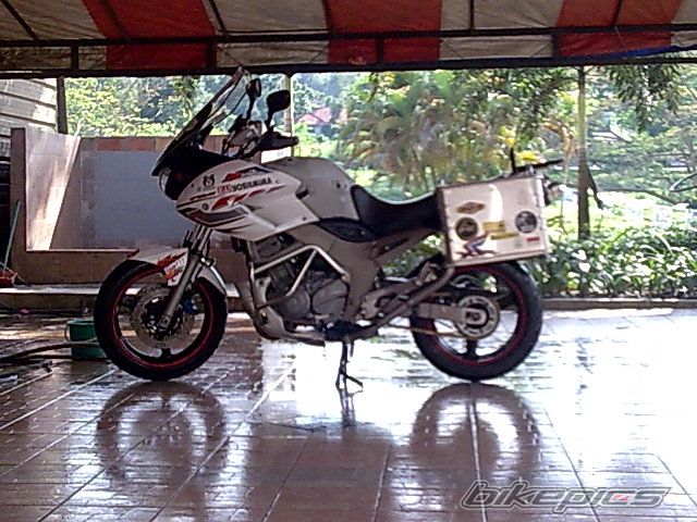 2003 YAMAHA TDM 900 | Picture 1208358 motorcycle photo