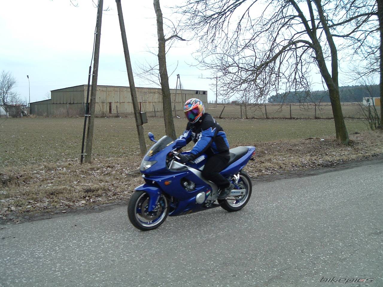 2001 YAMAHA YZF 600 | Picture 120839 motorcycle photo
