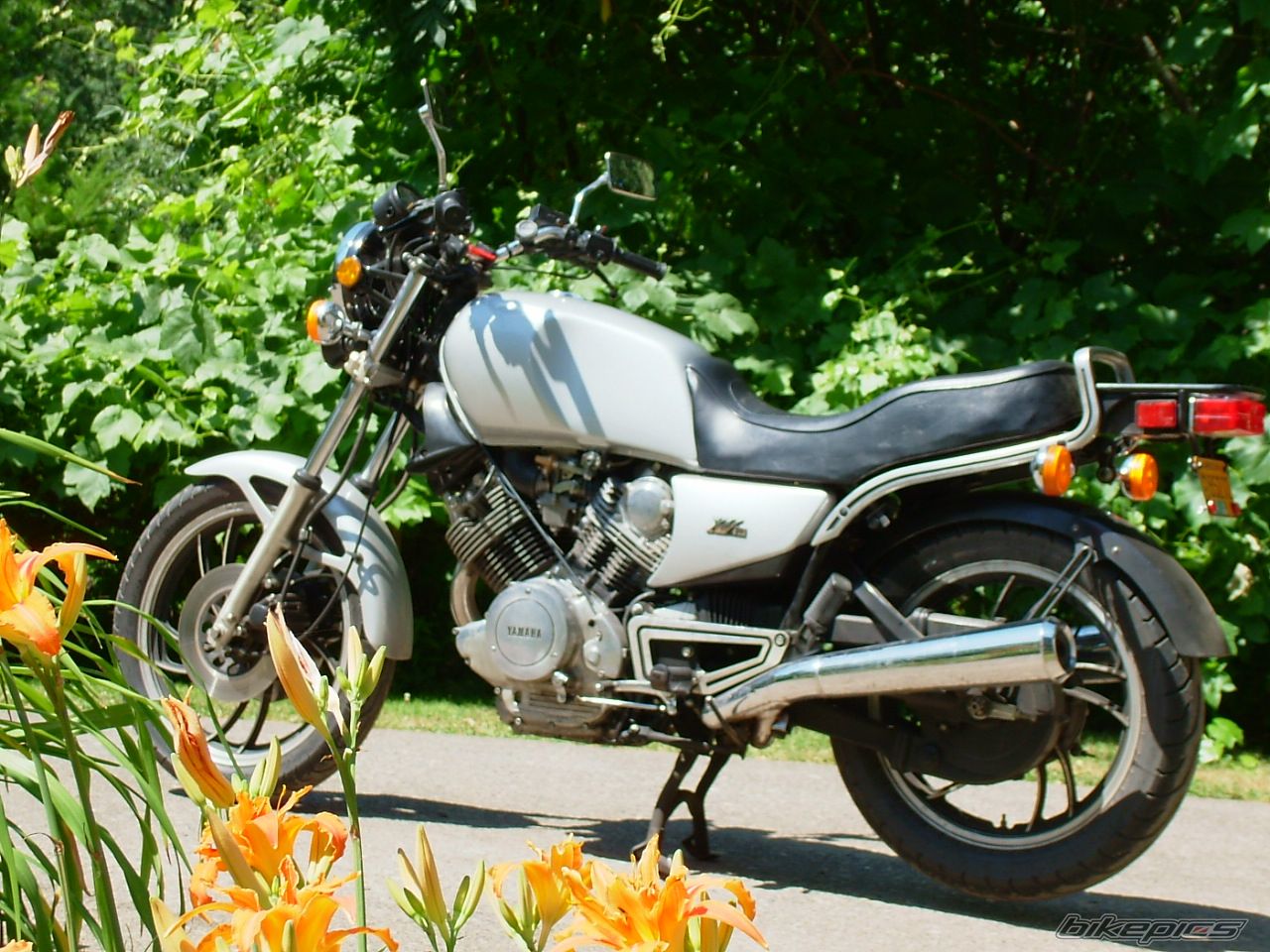 1981 YAMAHA XV 920 | Picture 1208767 motorcycle photo