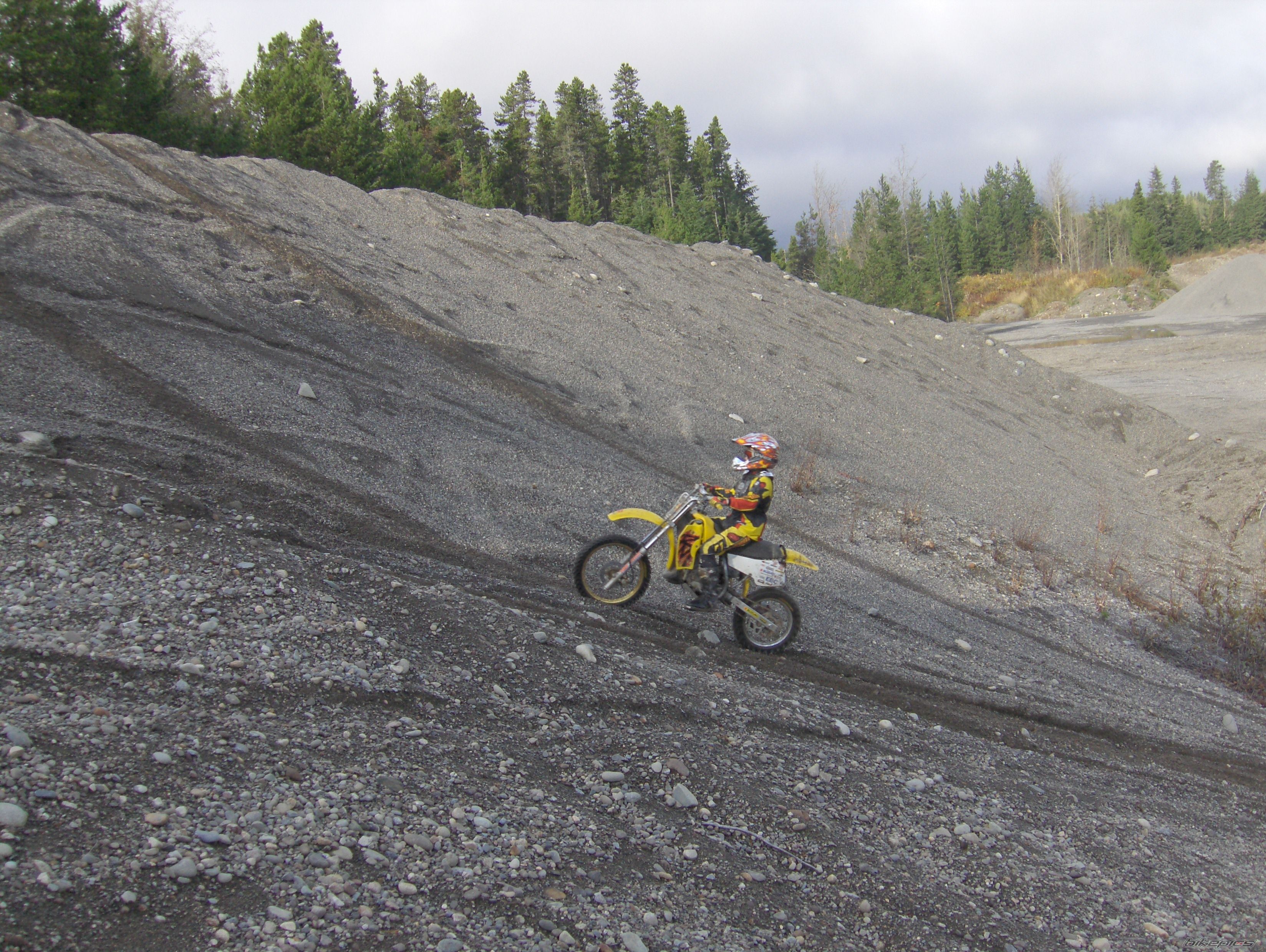 1994 SUZUKI RM 80 | Picture 1209000 motorcycle photo