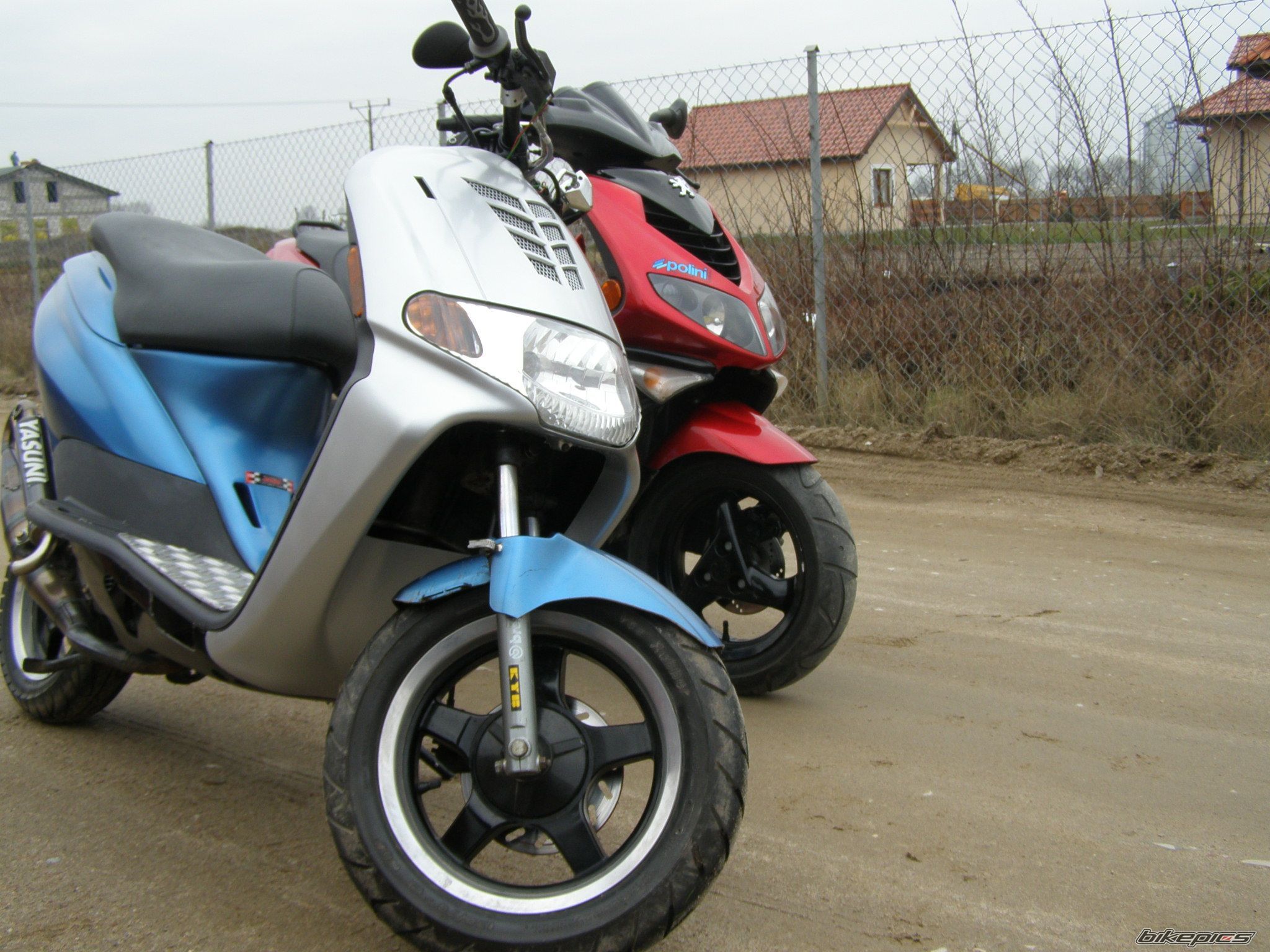 2003 PEUGEOT SPEEDFIGHT2 50 | Picture 1209056 motorcycle photo
