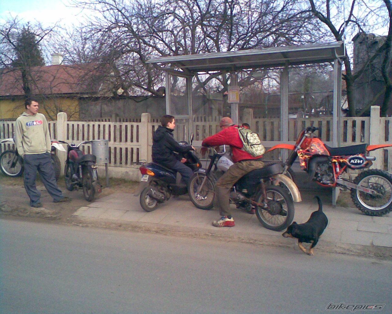    | Picture 1209163 motorcycle photo