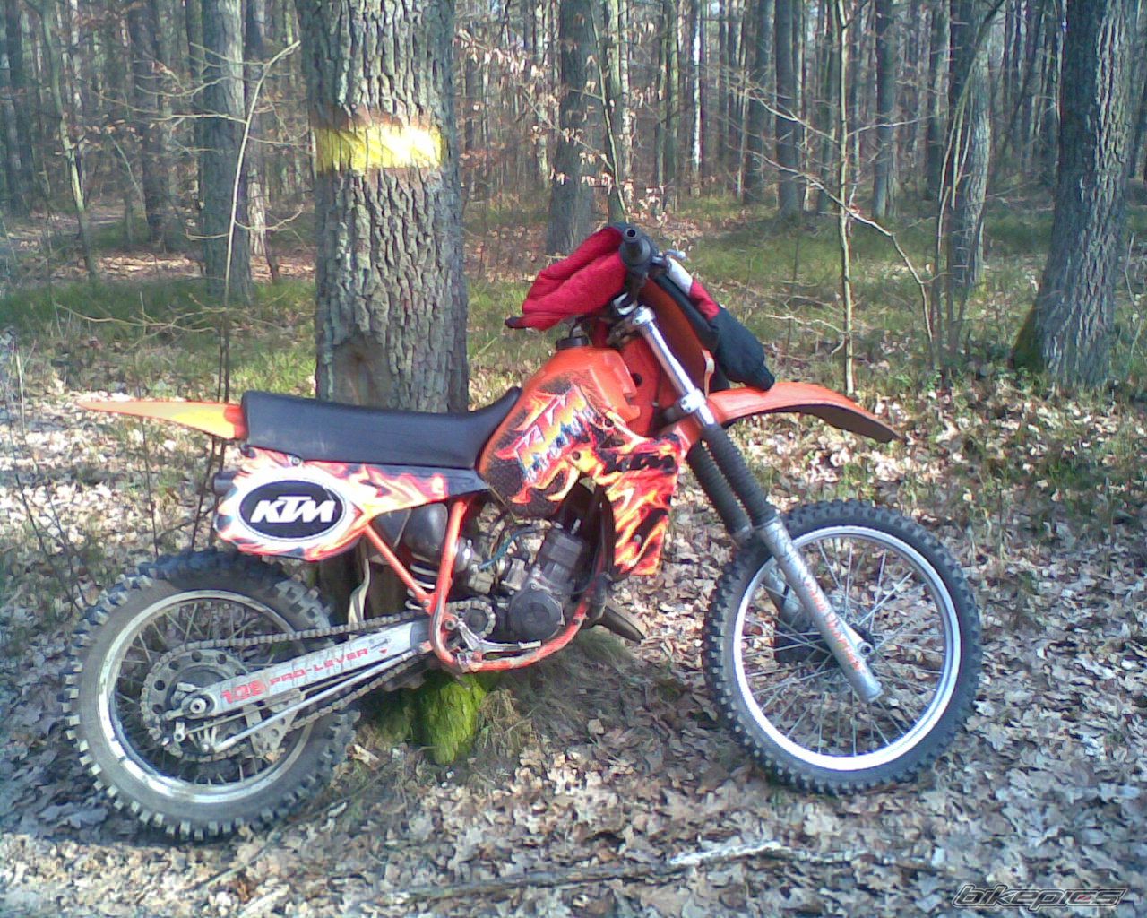    | Picture 1209176 motorcycle photo