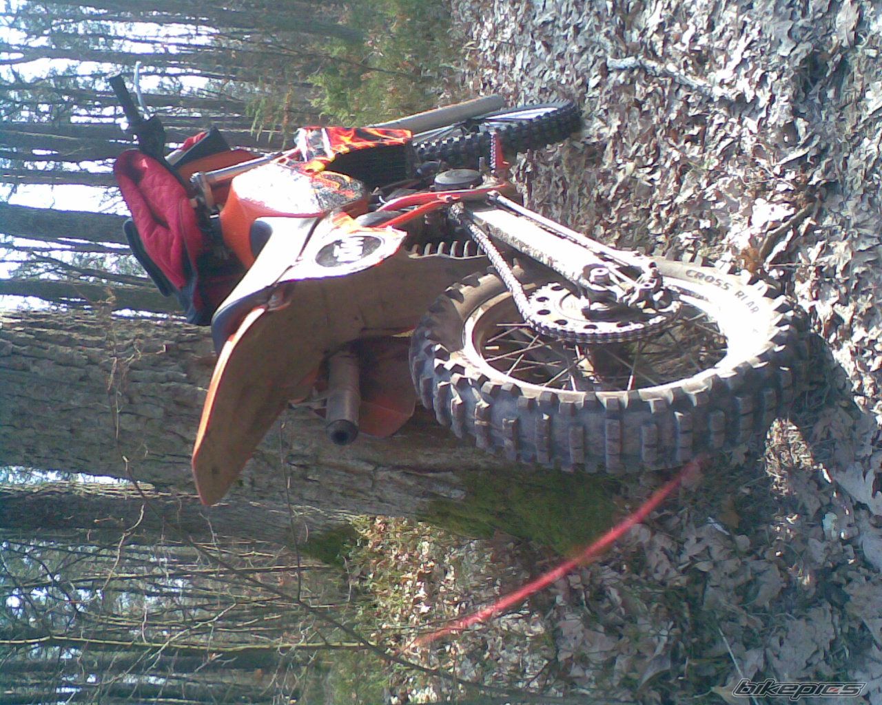    | Picture 1209178 motorcycle photo