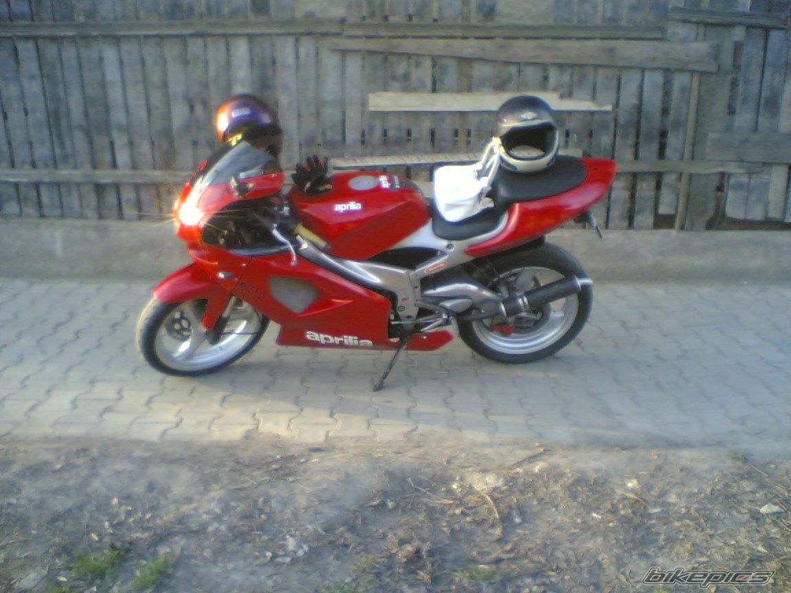 2008 APRILIA RS 125 | Picture 1209439 motorcycle photo
