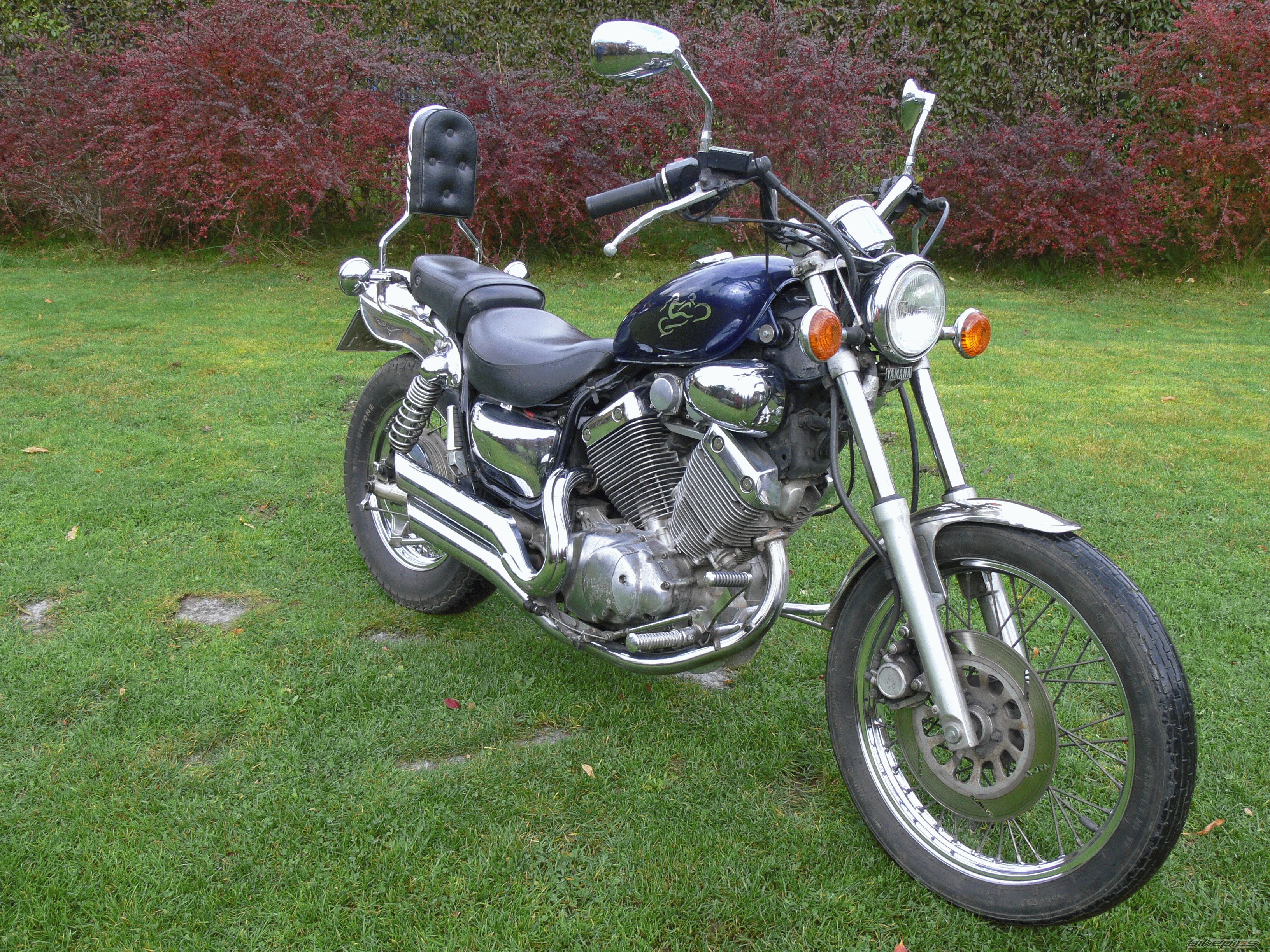 1992 YAMAHA VIRAGO 535 | Picture 1209469 motorcycle photo