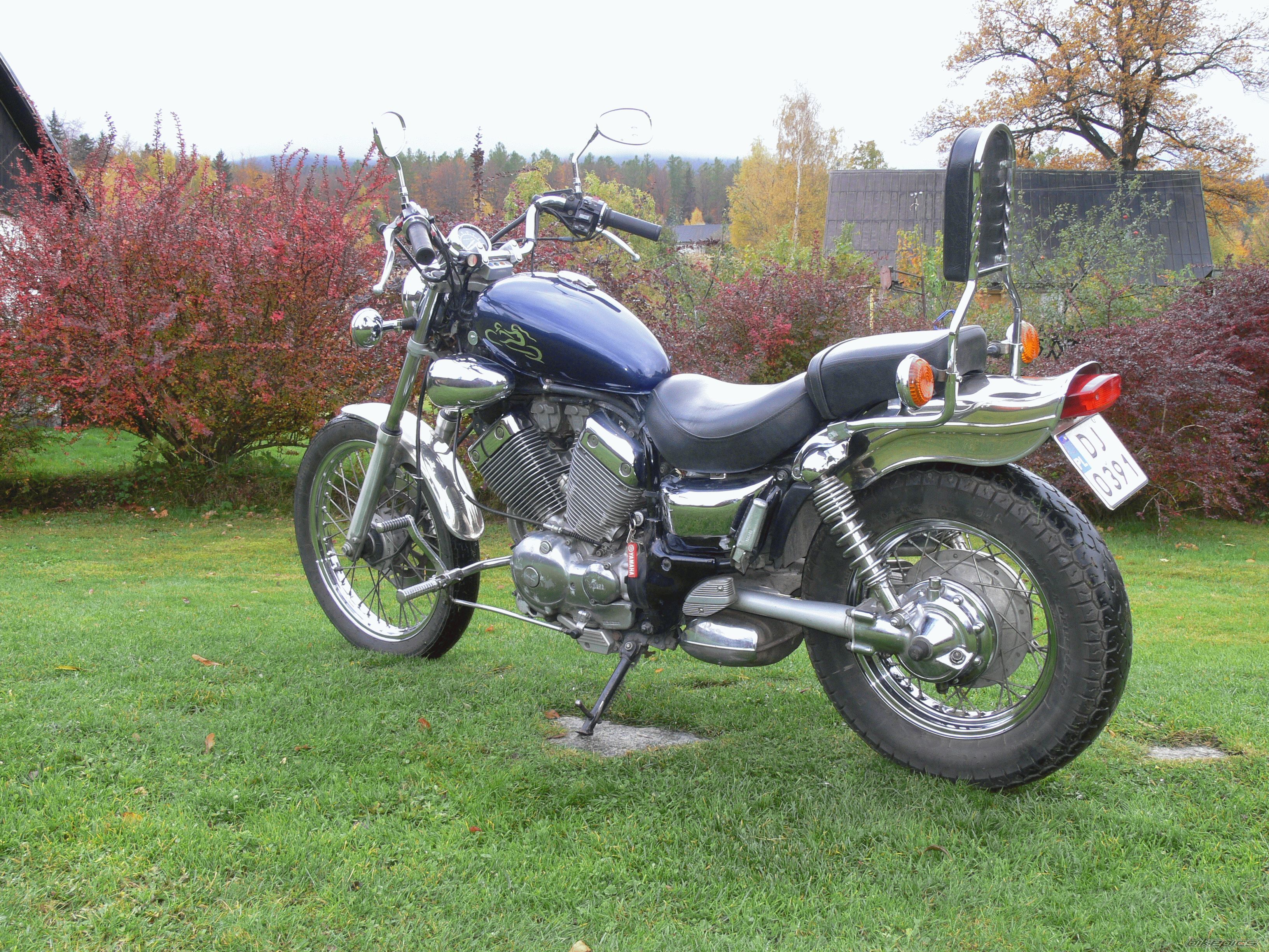 1992 YAMAHA VIRAGO 535 | Picture 1209471 motorcycle photo