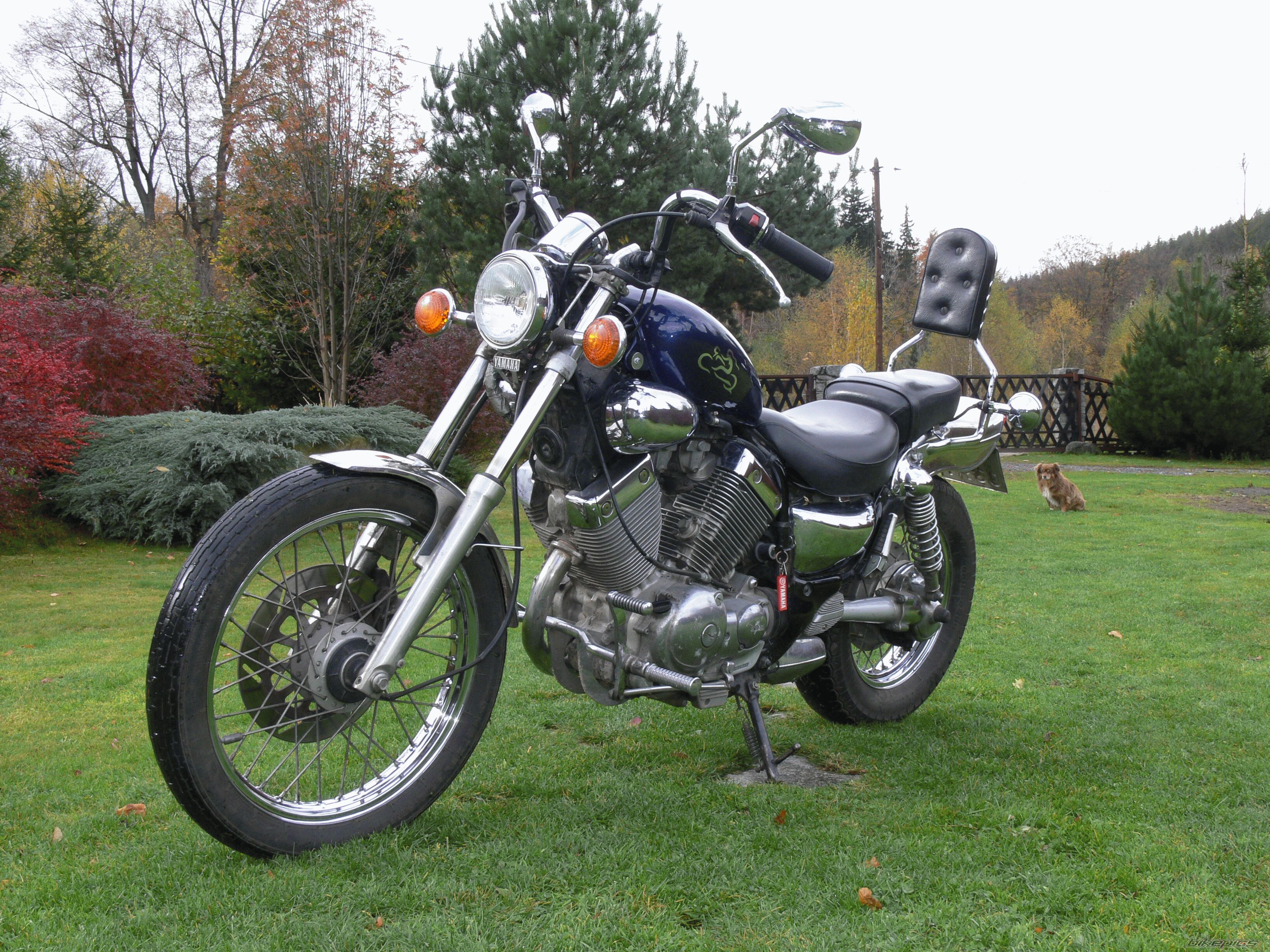 1992 YAMAHA VIRAGO 535 | Picture 1209472 motorcycle photo