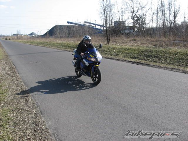 2004 YAMAHA TZR 50 | Picture 1209819 motorcycle photo