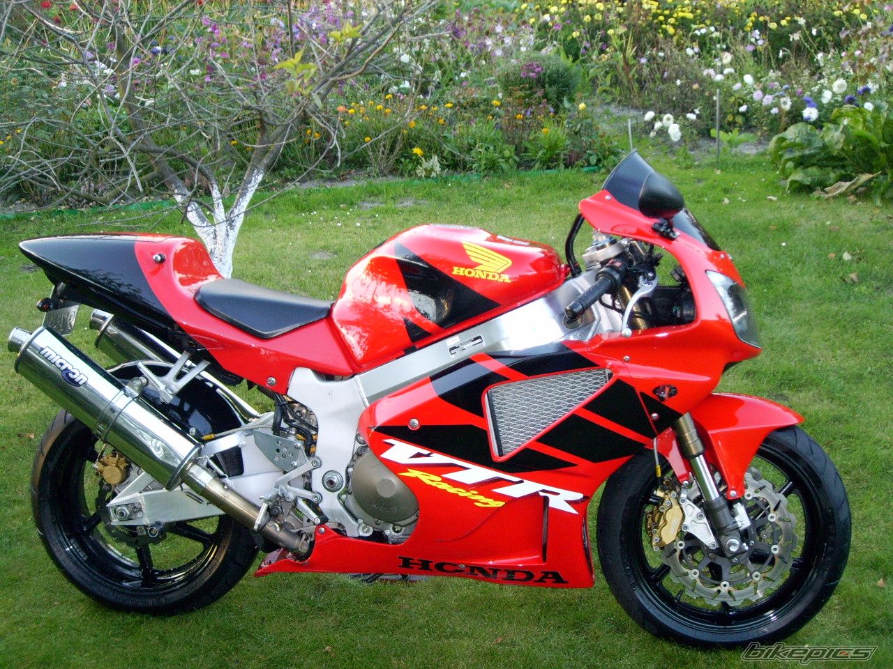 2001 HONDA VTR 1000 SP1 | Picture 1210283 motorcycle photo