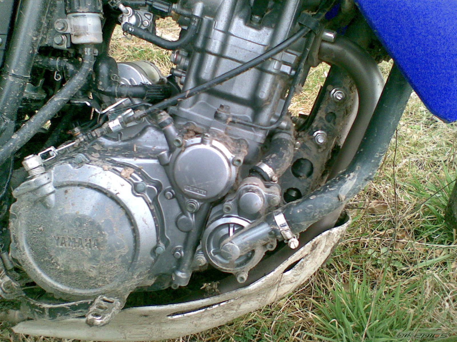 2008 YAMAHA XT 660 | Picture 1210440 motorcycle photo