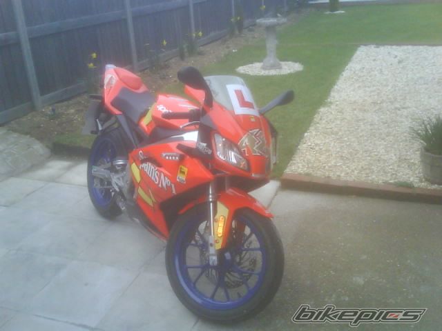 2008 APRILIA RS 50 | Picture 1210497 motorcycle photo