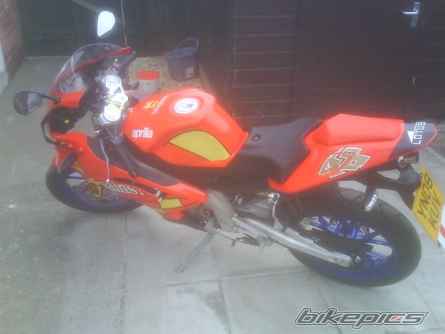 2008 APRILIA RS 50 | Picture 1210500 motorcycle photo