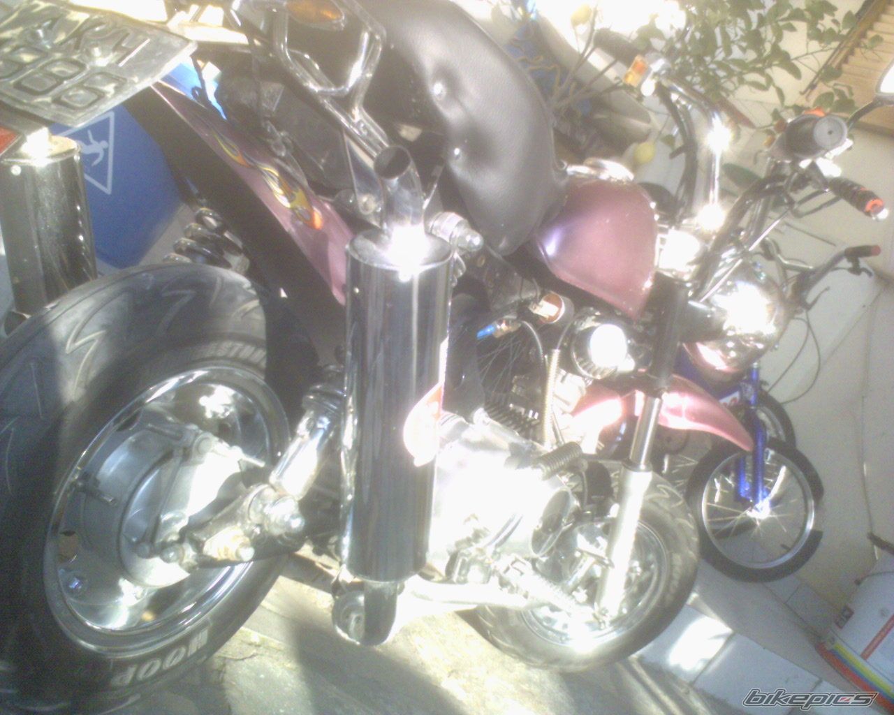 2006 HONDA SUPER CUB 50 | Picture 1210627 motorcycle photo