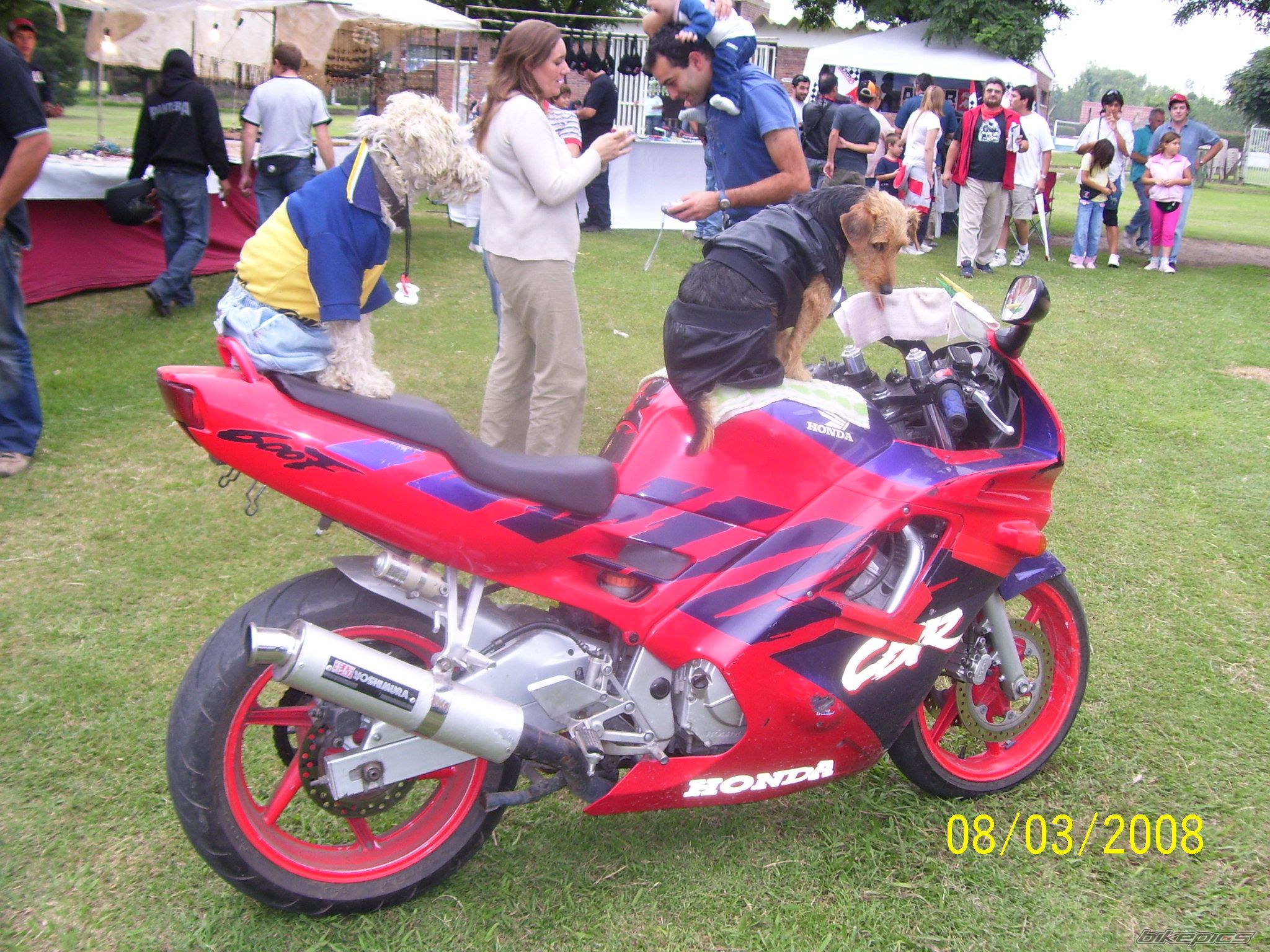 1993 HONDA CBR 600 | Picture 1210652 motorcycle photo
